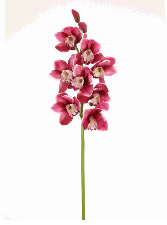 Orchid Stem